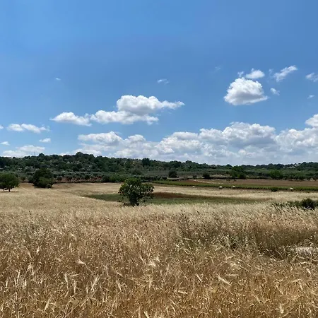 Trulli Vecchi Del Campolungo Villa