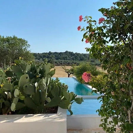 Trulli Vecchi Del Campolungo צ'יסטרנינו